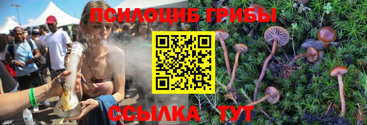 Псилоцибиновые грибы Psilocybine cubensis  Галлюциногенные грибы прущие грибы  Вход с VPN  Псков 